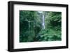 Wailua Falls On The Road To Hana, Maui, Hawaii-George Oze-Framed Photographic Print