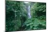 Wailua Falls On The Road To Hana, Maui, Hawaii-George Oze-Mounted Photographic Print