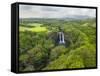 Wailua Falls on the Wailua River, Kauai, Hawaii.-Ethan Welty-Framed Stretched Canvas