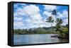 Wailua River. Kauai, Hawaii, United States of America, Pacific-Michael Runkel-Framed Stretched Canvas