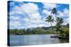 Wailua River. Kauai, Hawaii, United States of America, Pacific-Michael Runkel-Stretched Canvas