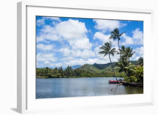 Wailua River. Kauai, Hawaii, United States of America, Pacific-Michael Runkel-Framed Photographic Print