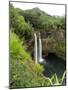 Wailua Waterfall, Kauai-Audrey-Mounted Giclee Print