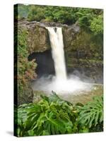 Wailuku River Rainbow Falls State Park on the Big Island, Hawaii-Michael DeFreitas-Stretched Canvas