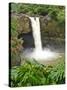 Wailuku River Rainbow Falls State Park on the Big Island, Hawaii-Michael DeFreitas-Stretched Canvas