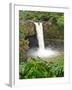 Wailuku River Rainbow Falls State Park on the Big Island, Hawaii-Michael DeFreitas-Framed Photographic Print