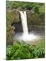 Wailuku River Rainbow Falls State Park on the Big Island, Hawaii-Michael DeFreitas-Mounted Photographic Print