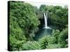 Wailuku River's Rainbow Falls-James Randklev-Stretched Canvas