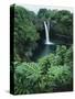 Wailuku River's Rainbow Falls-James Randklev-Stretched Canvas