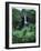 Wailuku River's Rainbow Falls-James Randklev-Framed Photographic Print