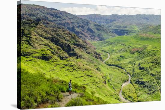 Waimea Canyon State Park, Kauai, Hawaii, United States of America, Pacific-Michael DeFreitas-Stretched Canvas