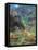 Waimea Canyon-James Randklev-Framed Stretched Canvas