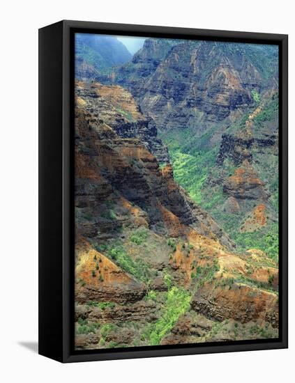 Waimea Canyon-James Randklev-Framed Stretched Canvas