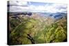 Waimea Canyon-Terry Eggers-Stretched Canvas