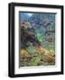 Waimea Canyon-James Randklev-Framed Photographic Print