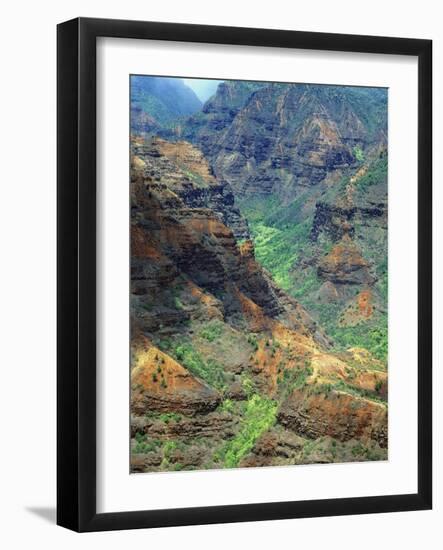 Waimea Canyon-James Randklev-Framed Photographic Print