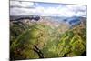 Waimea Canyon-Terry Eggers-Mounted Photographic Print