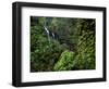 Waimoku Falls surrounded by verdant forest, impatiens flowers, Maui, Hawaii-Stuart Westmorland-Framed Photographic Print