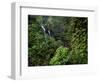 Waimoku Falls surrounded by verdant forest, impatiens flowers, Maui, Hawaii-Stuart Westmorland-Framed Photographic Print