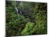 Waimoku Falls surrounded by verdant forest, impatiens flowers, Maui, Hawaii-Stuart Westmorland-Mounted Photographic Print