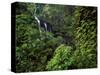 Waimoku Falls surrounded by verdant forest, impatiens flowers, Maui, Hawaii-Stuart Westmorland-Stretched Canvas