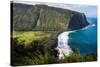 Waipio Valley, Big Island, Hawaii-Mark A Johnson-Stretched Canvas