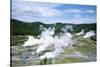 Wairakei Geothermal Power Station, Near Lake Taupo, North Island, New Zealand-Geoff Renner-Stretched Canvas