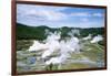 Wairakei Geothermal Power Station, Near Lake Taupo, North Island, New Zealand-Geoff Renner-Framed Photographic Print