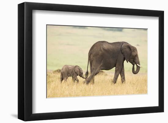 Wait for Me!-Mark Bridger-Framed Art Print