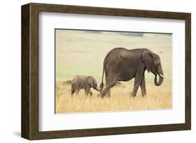 Wait for Me!-Mark Bridger-Framed Art Print