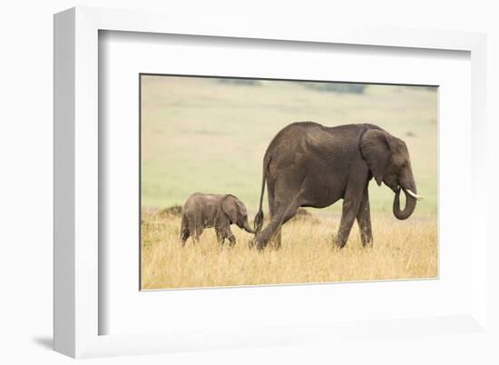 Wait for Me!-Mark Bridger-Framed Art Print