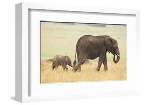 Wait for Me!-Mark Bridger-Framed Art Print