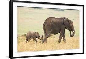 Wait for Me!-Mark Bridger-Framed Art Print