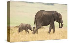 Wait for Me!-Mark Bridger-Stretched Canvas