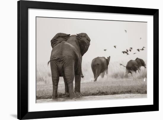 Wait for Me-null-Framed Giclee Print