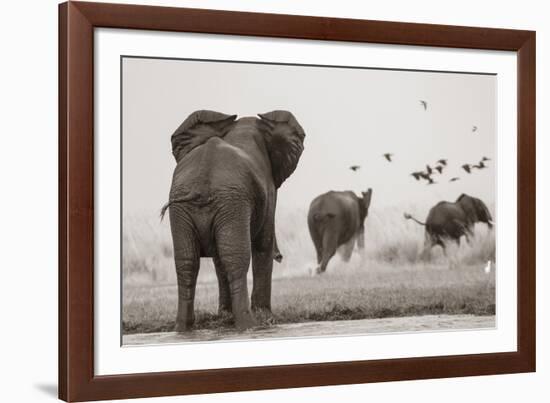 Wait for Me-null-Framed Giclee Print