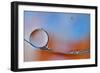 Wait For Me-Heidi Westum-Framed Photographic Print