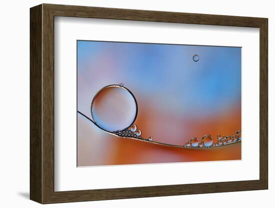 Wait For Me-Heidi Westum-Framed Photographic Print