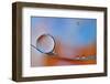 Wait For Me-Heidi Westum-Framed Photographic Print