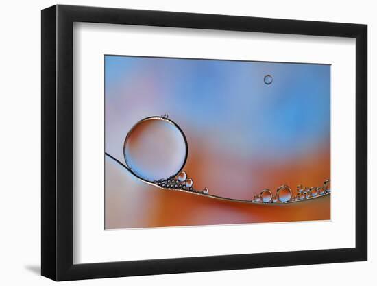 Wait For Me-Heidi Westum-Framed Photographic Print