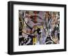 Wait Wait Go 1-Dan Monteavaro-Framed Giclee Print