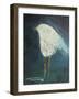 Waiting Bird-Tim Nyberg-Framed Giclee Print