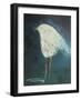 Waiting Bird-Tim Nyberg-Framed Giclee Print