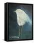 Waiting Bird-Tim Nyberg-Framed Stretched Canvas