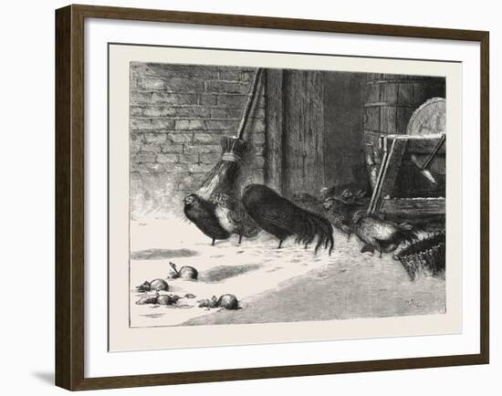 Waiting for a Break. 1876, Chicken, Chickens, Bird, Birds, Fowl, Fowls-null-Framed Giclee Print