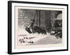 Waiting for a Break. 1876, Chicken, Chickens, Bird, Birds, Fowl, Fowls-null-Framed Giclee Print