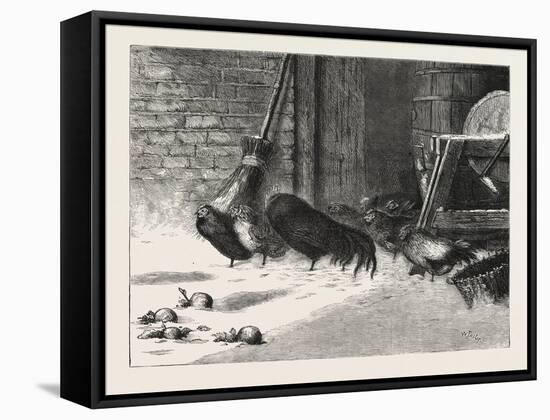 Waiting for a Break. 1876, Chicken, Chickens, Bird, Birds, Fowl, Fowls-null-Framed Stretched Canvas