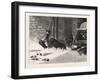 Waiting for a Break. 1876, Chicken, Chickens, Bird, Birds, Fowl, Fowls-null-Framed Giclee Print