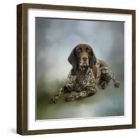 Waiting for a Cue German Shorthaired Pointer-Jai Johnson-Framed Giclee Print