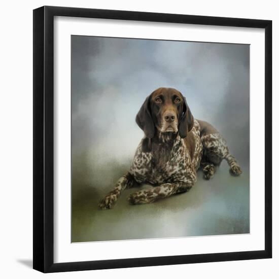 Waiting for a Cue German Shorthaired Pointer-Jai Johnson-Framed Giclee Print